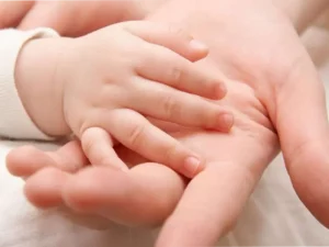 شرایط و قوانین اهدای جنین