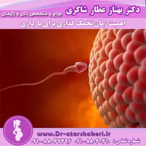 اهمیت زمان تخمک گذاری برای بارداری