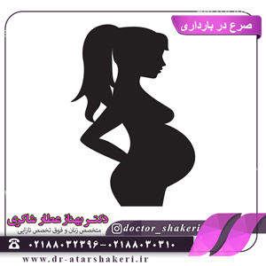 صرع در بارداری