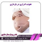 عفونت ادراری در بارداری
