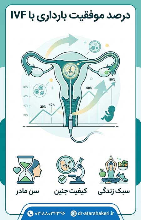 درصد موفقیت بارداری با ivf