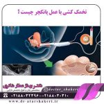 عکس-تخمک-کشی