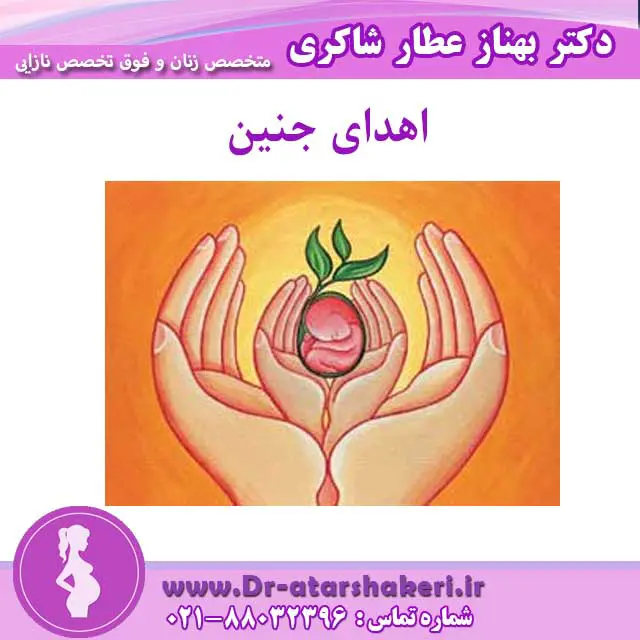 اهدای جنین 