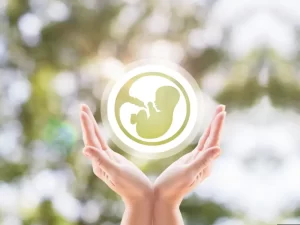 چگونه باردار شویم