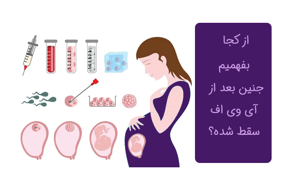 از کجا بفهمیم سقط جنین بعد از آی وی اف صورت گرفته؟