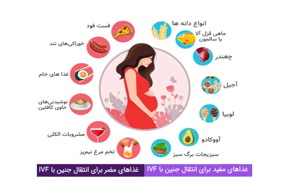 انواع غذاهای مفید و مضر برای انتقال جنین با IVF