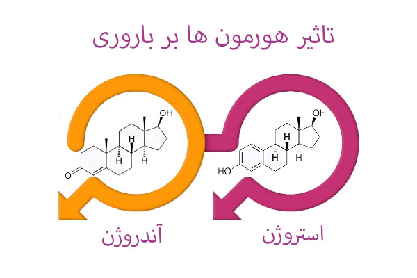 تاثیر هورمون ها بر باروری