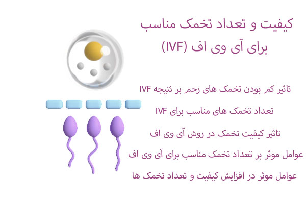 کیفیت و تعداد تخمک مناسب برای آی وی اف