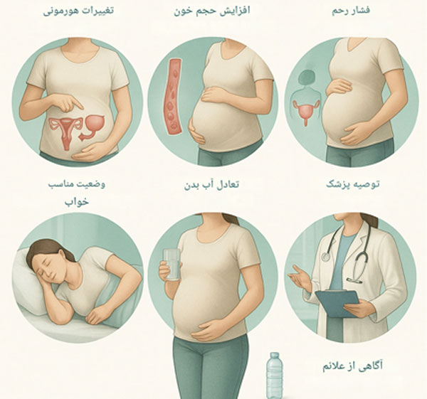 چرا تکرر ادرار در دوران بارداری رخ می‌دهد؟
