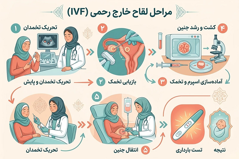 مراحل آی وی اف توسط بهترین دکتر ivf