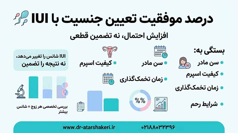 درصد موفقیت تعیین جنسیت با IUI