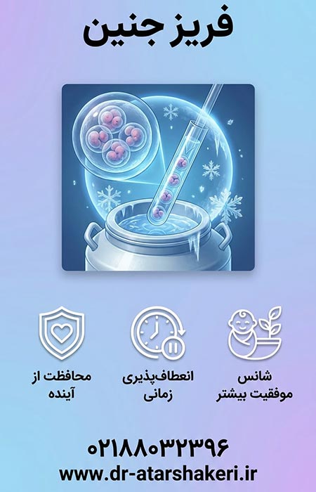 فریز جنین